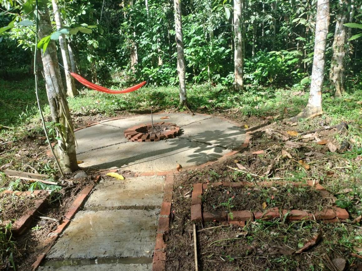 Sugi House Toraja - Penginapan Villa Harian Keluarga -Muat 20 Orang Rantepao Εξωτερικό φωτογραφία
